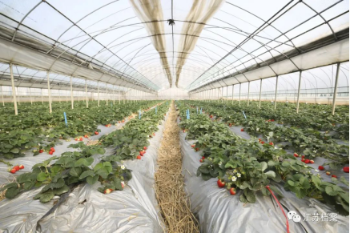 新建 DOC 文檔 (17)1381.png