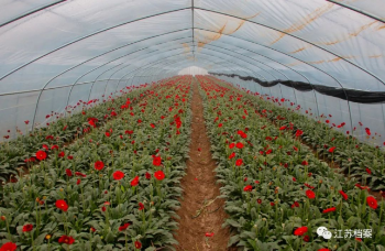 檔案見(jiàn)證小康路 成子湖畔,奏響小康之歌1141.png